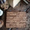 Wine cork pot trivet - large - shot from above.